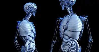 Como ter um Intestino Saudável sem Sacrifício