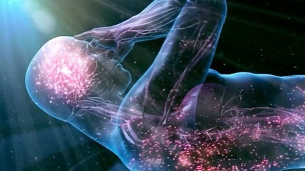 Ritmo Circadiano, o que é e como Funciona? Na imagem, o corpo translúcido de um homem, onde é possível ver o circuito neural, ele parece ter acordado com a intensidade de luz vinda acima da sua cabeça.