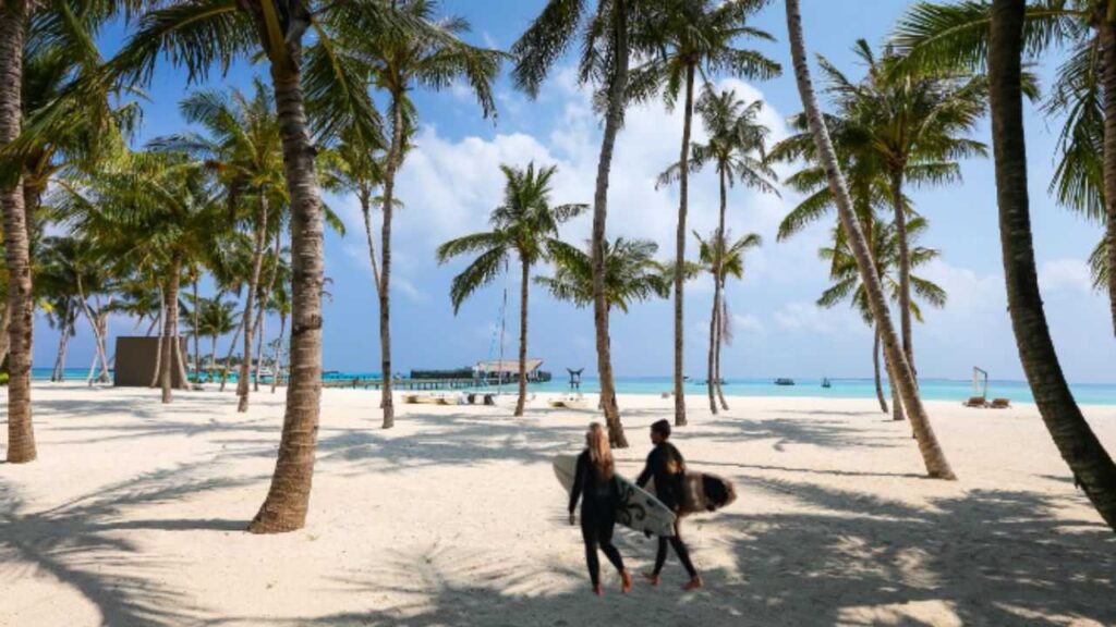Benefícios da Vida ao Ar Livre. Na imagem, um casal de surfistas, usando roupa de natação, macacão de neoprene, na cor preta, carregando cada um a sua prancha de surf, caminham pela praia entre os coqueiros até chegarem ao mar.